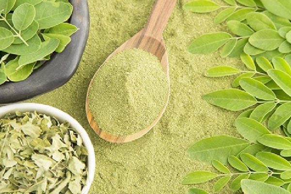 organic-moringa-powder organic-moringa-powder