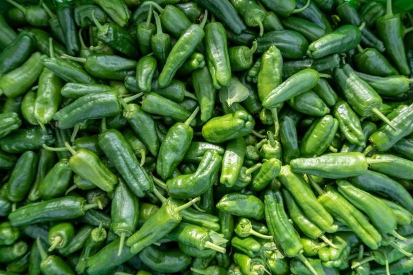 pexels-photo-1800247-1800247 A vibrant display of fresh green peppers showcasing their rich color and texture.